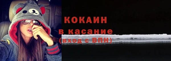 дмт Богородицк