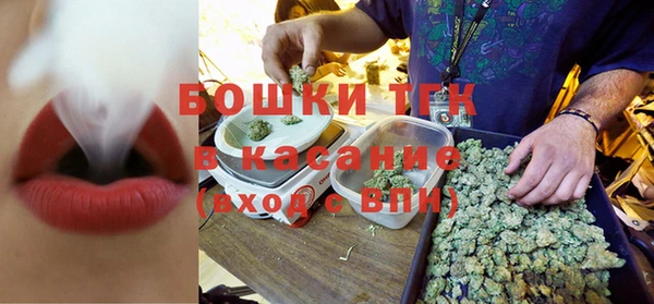 дмт Богородицк
