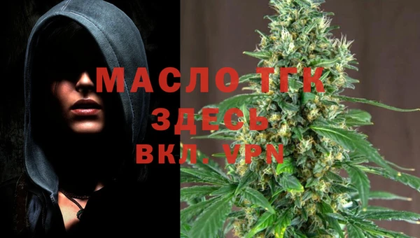 дмт Богородицк
