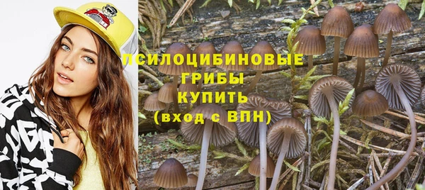 бутират Богородск
