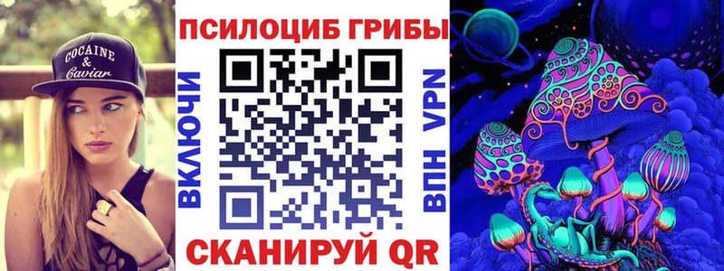 KRAKEN tor  Шилка  Галлюциногенные грибы MAGIC MUSHROOMS 