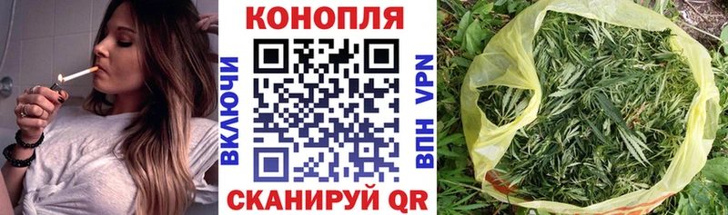 как найти наркотики  Шилка  Бошки марихуана THC 21% 